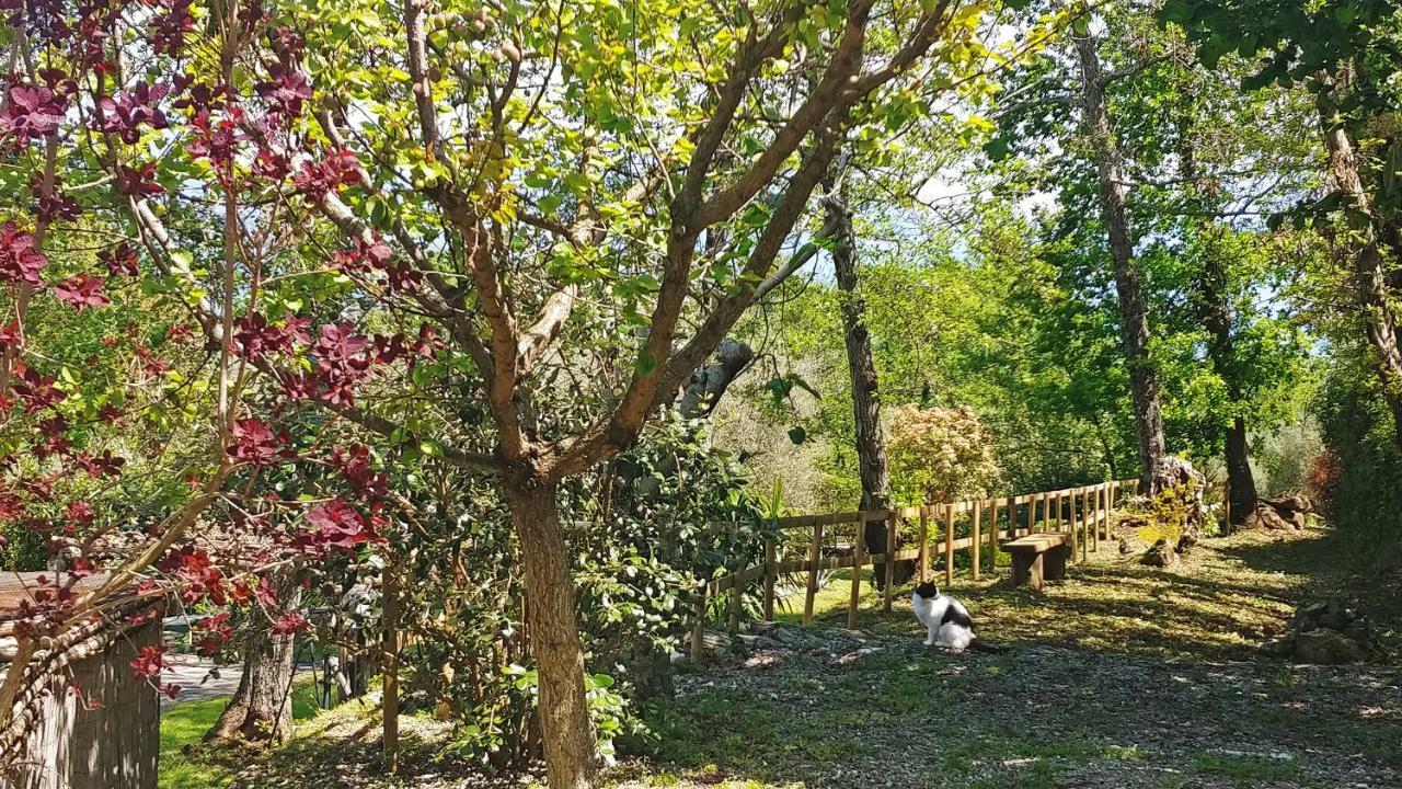 Verdeblu Country Hotel San Giovanni a Piro Exterior photo